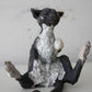Birch & Smoke Smiling Raku Kitty